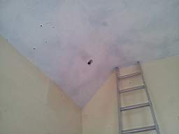 fkillineybeforeinternal 1045.jpg